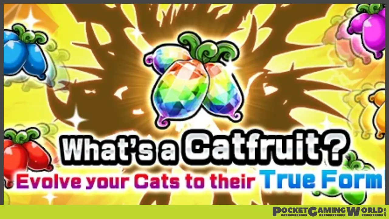 How to Get Catfruit in Battle Cats